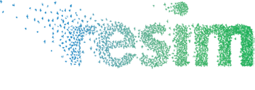 Resim Yapı